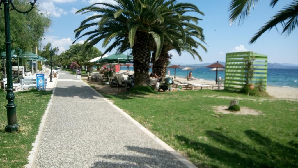 Villa George - Family Holidays Néa Mákri エクステリア 写真