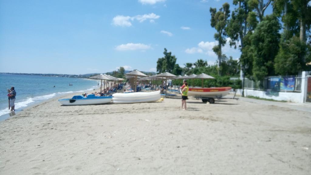 Villa George - Family Holidays Néa Mákri エクステリア 写真